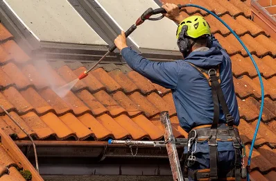 Démoussage et hydrofuge de toiture à Hibarette